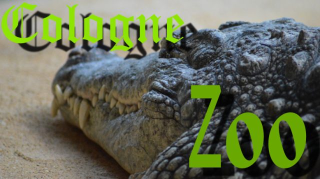 colcogne-zoo Cologne Zoo