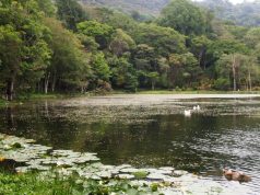 Exploring Selva Negra Nature Reserve Selve Negra Nature Reserve