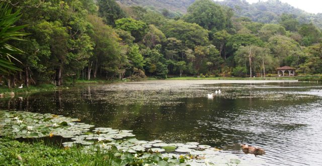 Selve Negra Nature Reserve