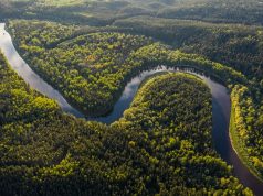 30 Fascinating Facts About the Brazilian Amazon The Amazon