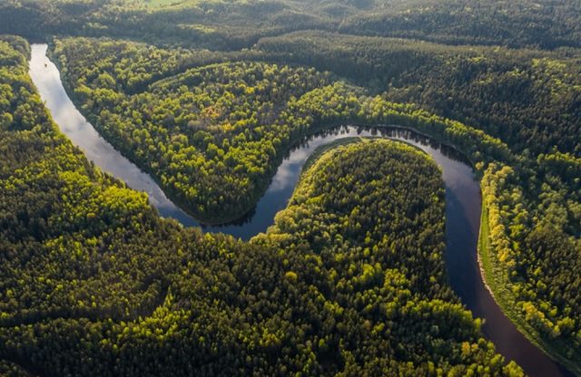 the-amazon The Amazon